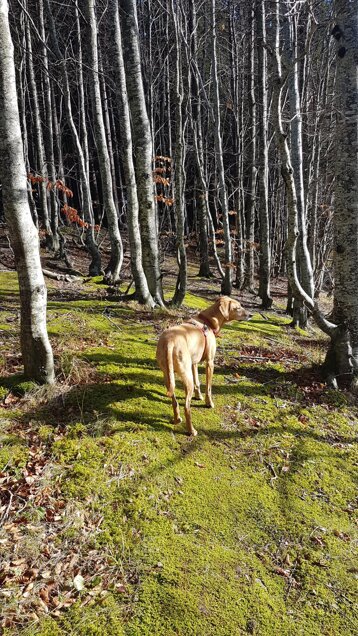 62e5610d-6b2c-4615-993c-f1a63fe75abf