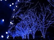 45808dbb-9562-4d5b-8128-777363c68dc3