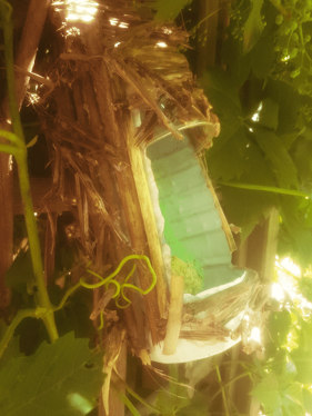 25c70dda-f124-4d53-b9dd-c243e1fb6e97