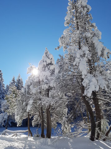 4804db37-dca7-4df7-a620-ad50282ad046