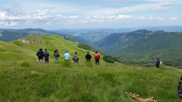 22ab8305-3b35-4b5f-b5d9-29cb94bd90b0