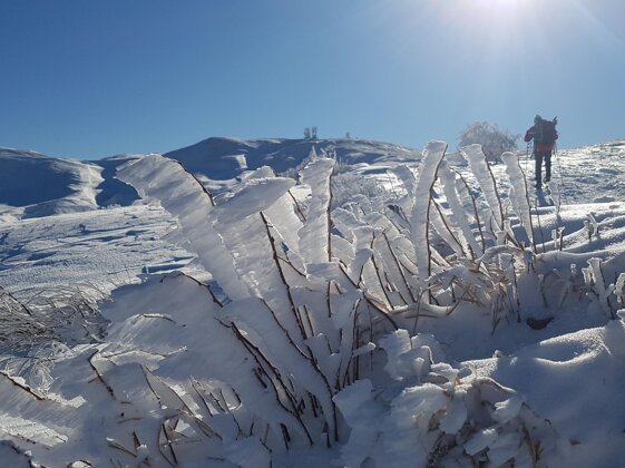 7d2e4acf-e73c-4dc3-8c13-ef5922aa4b98 7d2e4acf-e73c-4dc3-8c13-ef5922aa4b98