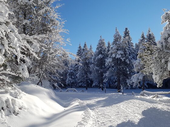 60eea599-ba6f-47be-ba44-1a4e93edbf19