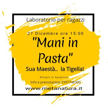 0c78ee71-077b-41a3-969a-13904c7f626c