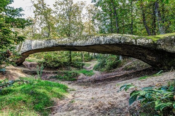 4385eb37-f688-4648-af7c-1ee6f72e2c3e