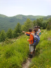 8322ed6a-68e4-424b-851f-80396c869975