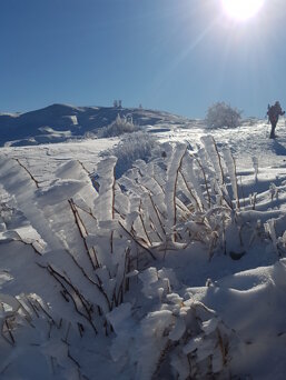 b7ef8433-8b78-4f45-bb8d-c56319578b12