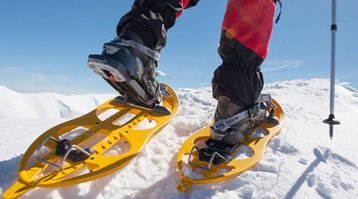 4fb900a4-5e8f-46c7-a050-7f101c97bd00