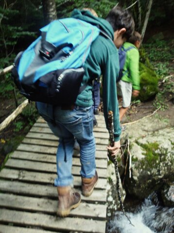 f92333a8-d22f-49e1-80d5-f135d1dd9a5a