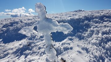 2cf52cc3-c663-4f5b-a6f1-5a4f9726d35f