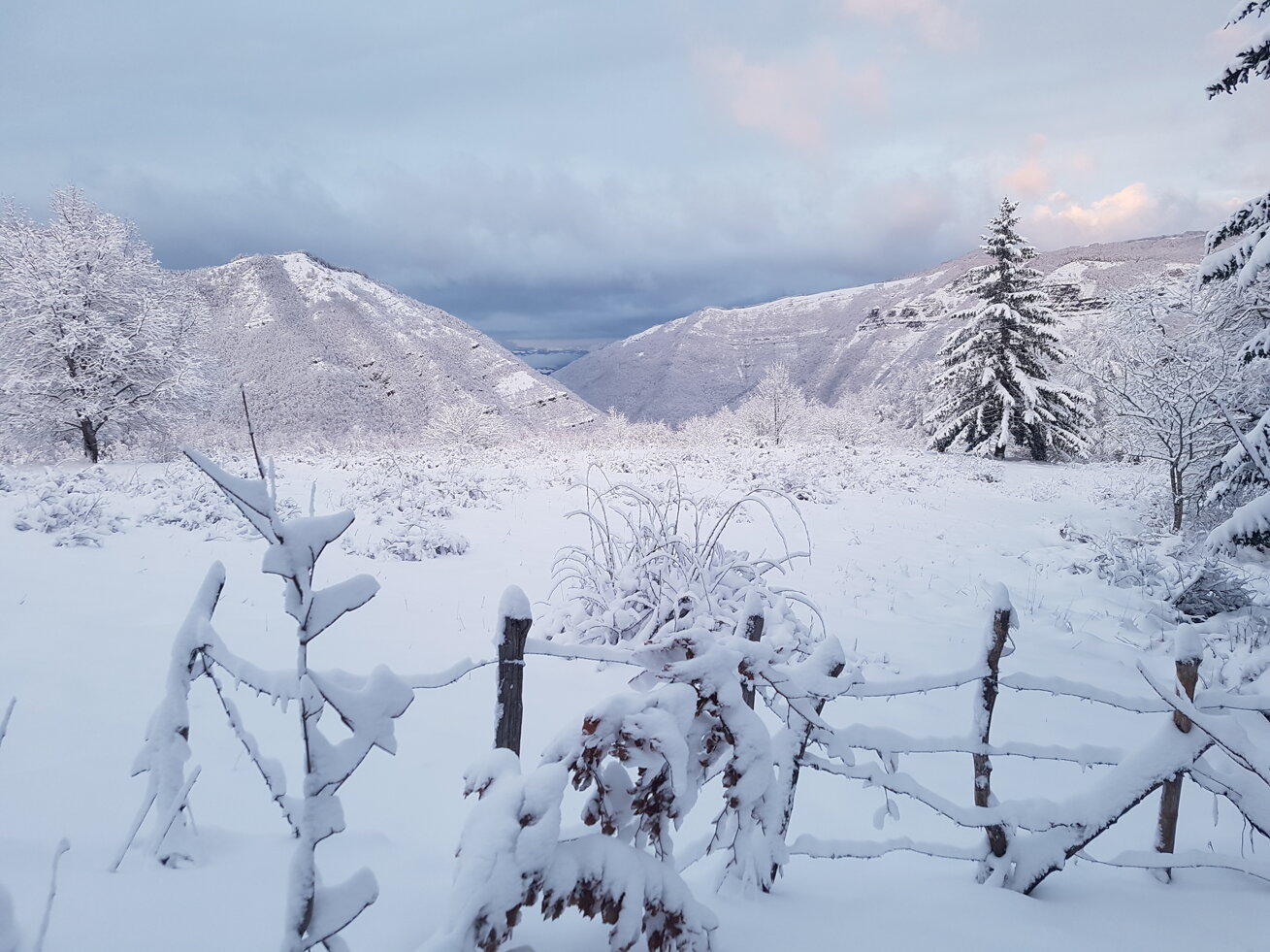 e4724804-41e3-4ae3-aa1b-8d34d938e82e