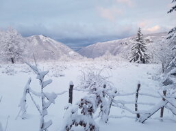 e4724804-41e3-4ae3-aa1b-8d34d938e82e