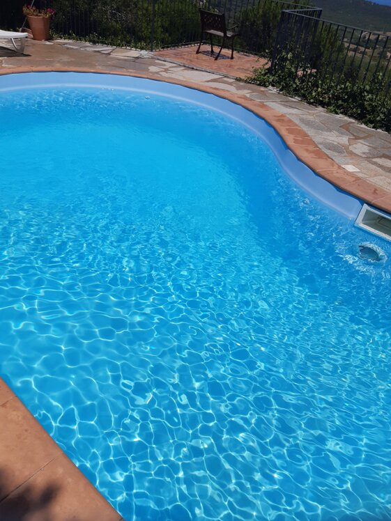 c412cb61-dcdb-4e80-8dff-5715e4a8bae4