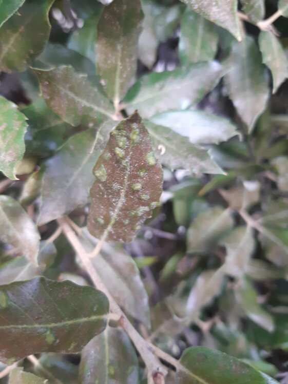 82f3c5ab-09c3-43aa-9d61-1896ab82d3cd