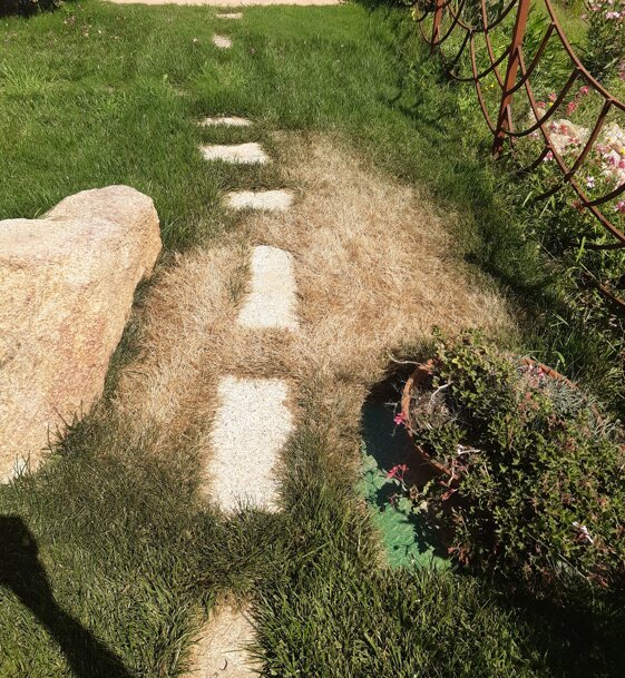 b6cf537c-a61c-4d28-8b6d-79b72bf6b9d1