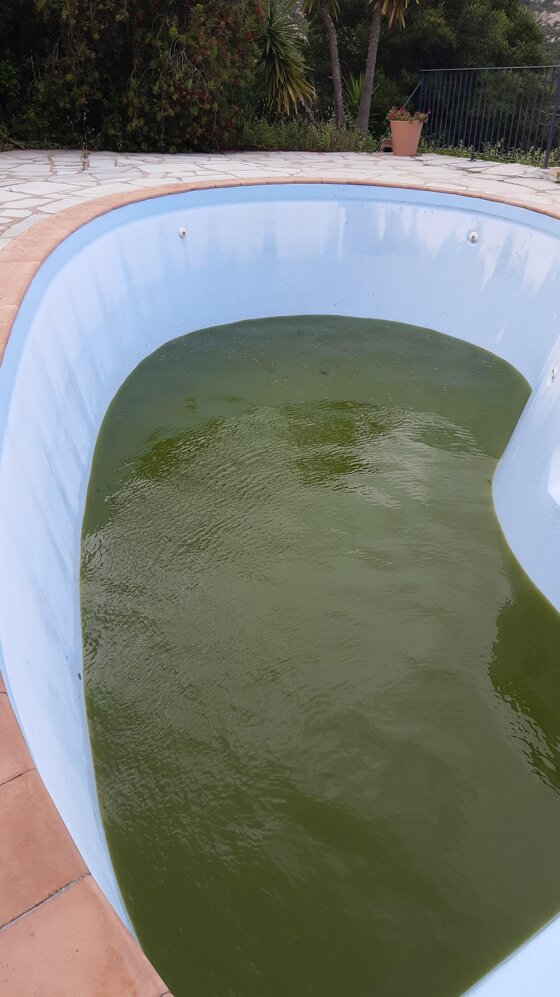 c9775af5-e72f-408c-b4a9-ffdaf36396be