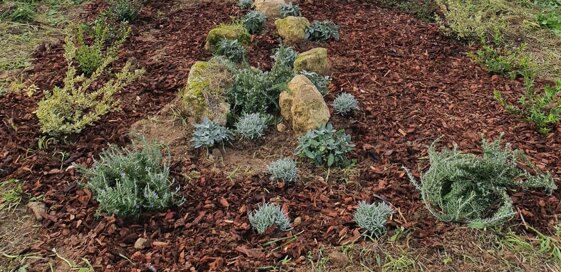 3d586169-7ae3-49a0-9b7c-cf88d60d1c1d