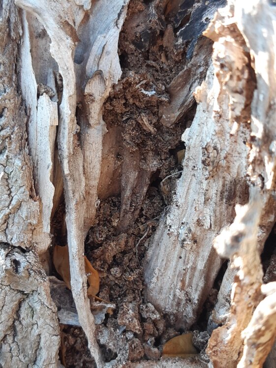 1c5cc862-b938-4d02-9d9e-d02a75bedc27