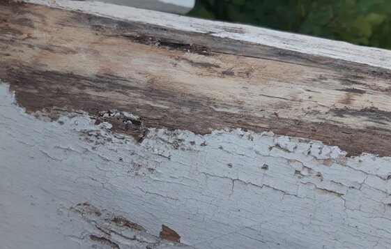 35727921-1f4b-4fec-ba95-f20c846da774