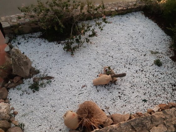 bc03c889-0625-47cf-a485-6a80097cdf8f