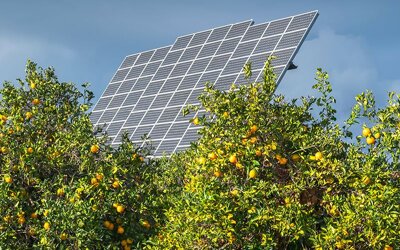 f1197043-ef98-42be-b309-d9df1c763aae.jpeg f1197043-ef98-42be-b309-d9df1c763aae.jpeg