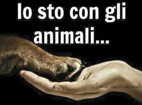 04c88eed-9828-4b53-a228-9a91c069452f 04c88eed-9828-4b53-a228-9a91c069452f