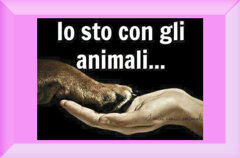 45f04eab-695b-4976-b360-0a9d6d8b5854