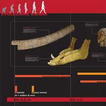 cf7aff8e-4298-4a98-acb3-f5cd3dc7ab0b