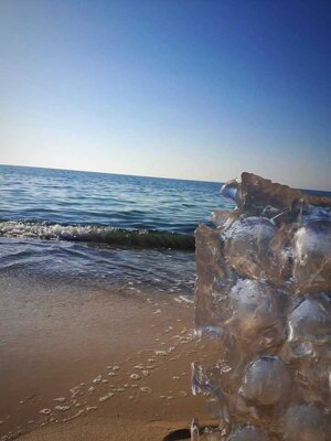 4d1e75a1-4e7f-4609-a702-e8d5cbcf3b95 4d1e75a1-4e7f-4609-a702-e8d5cbcf3b95