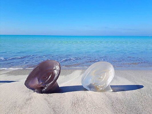 0e38d7c7-ceec-43e8-8a42-2736d9cf90b5 0e38d7c7-ceec-43e8-8a42-2736d9cf90b5