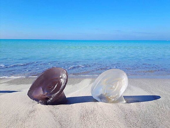 0e38d7c7-ceec-43e8-8a42-2736d9cf90b5