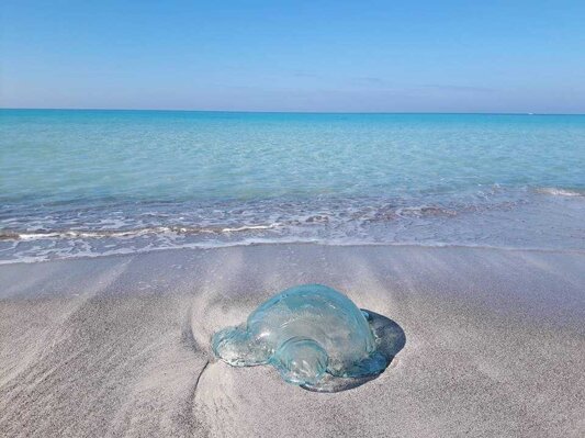 9de5005b-d5fc-4561-8ae8-e458bd1a6be0 9de5005b-d5fc-4561-8ae8-e458bd1a6be0