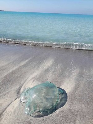 a2afbb11-49d4-4bf1-96df-a1b2c3d2a61e a2afbb11-49d4-4bf1-96df-a1b2c3d2a61e