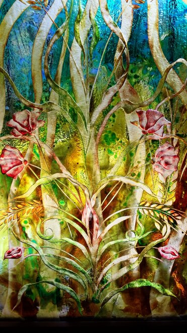 20131107_123031.jpeg 20131107_123031.jpeg