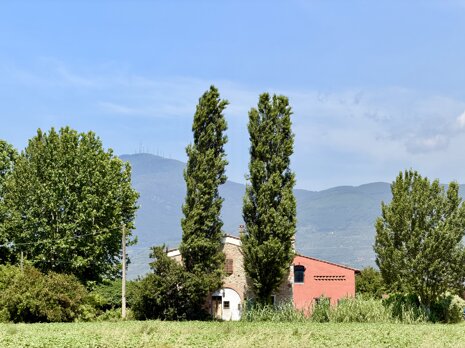 img_4798.jpeg
