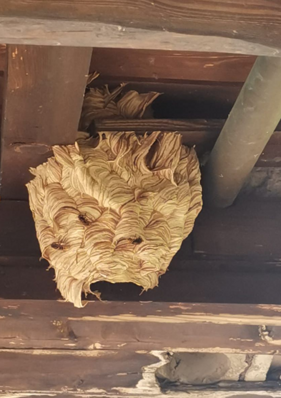 f3d3368d-2d0d-4979-8e45-8cc41a68a5cf