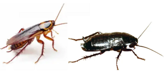 ee859524-91bc-48f3-879c-d619580aea52