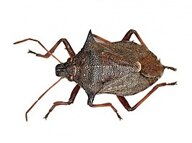 e298acec-a935-4db5-8c3f-0eedfd2e338e