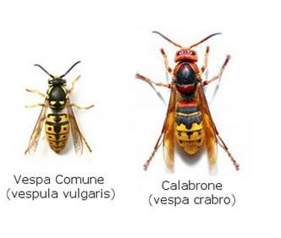 3b1cb2b9-480c-438f-b135-4598cfafd9fa