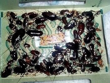 fa315981-d0e8-45ca-808a-a28927032748