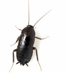 d1ec5b8e-df13-4615-8c55-94adc3b5a1a5