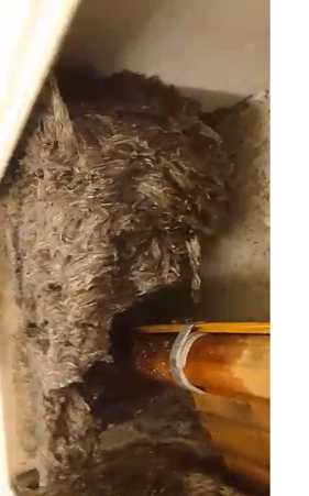 60e118d0-1871-43fc-8e64-3270494e93be