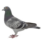 381fa76b-54e4-425d-9ed3-04e1cd14b373