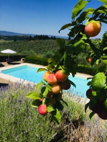 Large panoramic pool