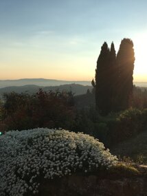 Infinite view from the garden