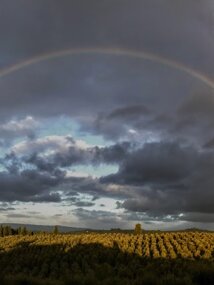 After the storm Rainbow