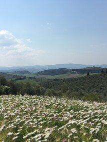 Spring time in Ponzano