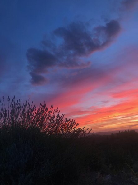 06964050-c024-42d6-a325-2cdf35a871ee 06964050-c024-42d6-a325-2cdf35a871ee