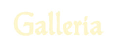 galleria