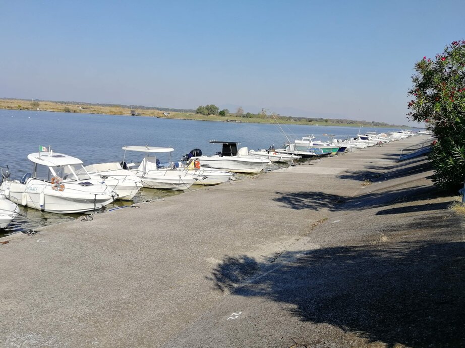 c56823c5-8d30-49f7-9282-3210bd6501d1 c56823c5-8d30-49f7-9282-3210bd6501d1